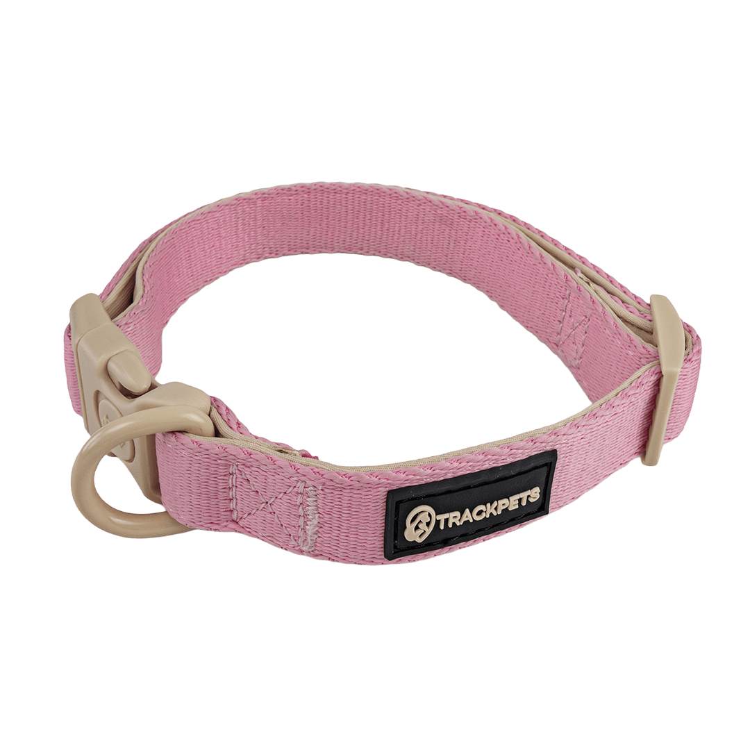 Coleira Poliéster